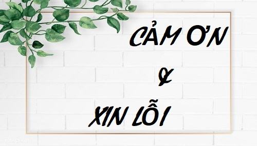 How to say thank you and sorry in Vietnamese